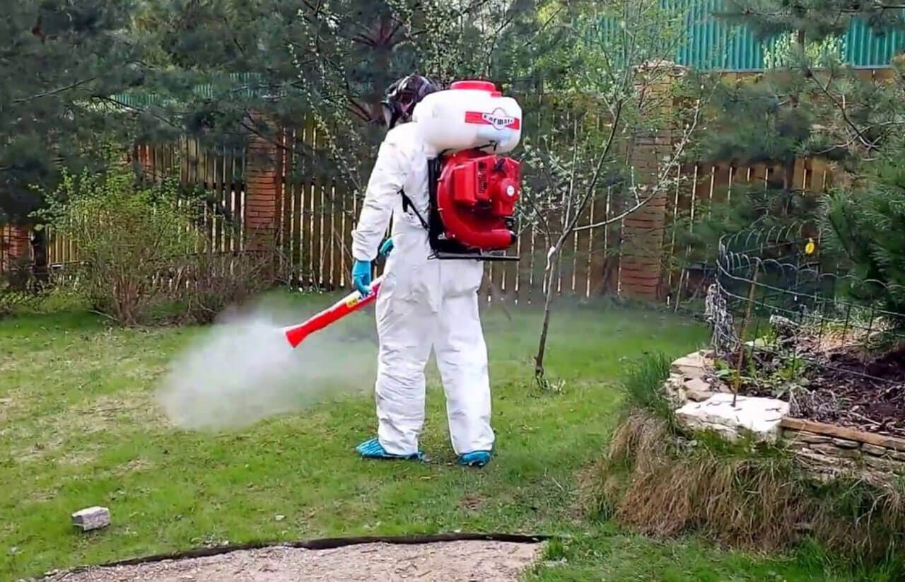 На фото показано избавление от комара